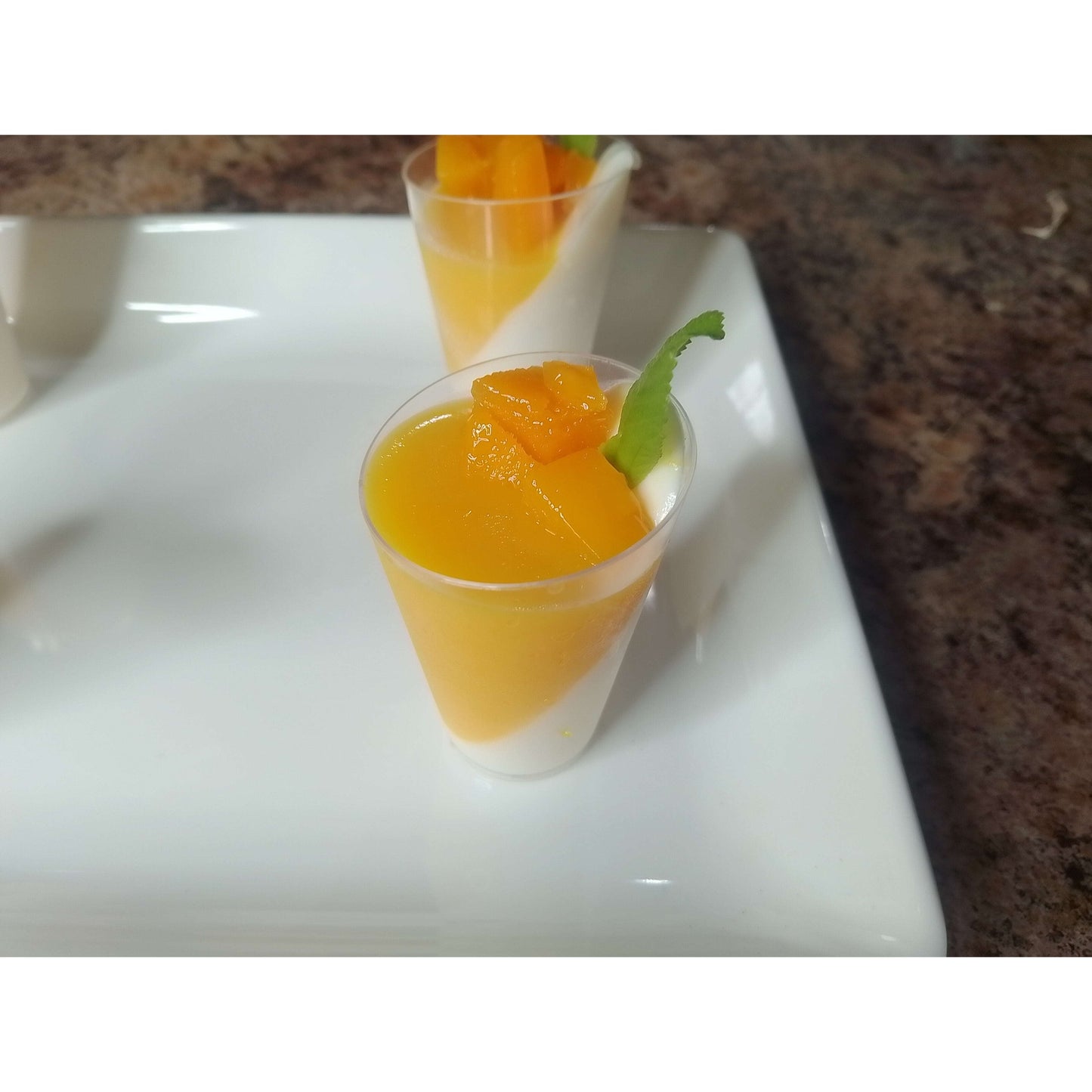 Panna Cotta 2oz. Dessert Cups