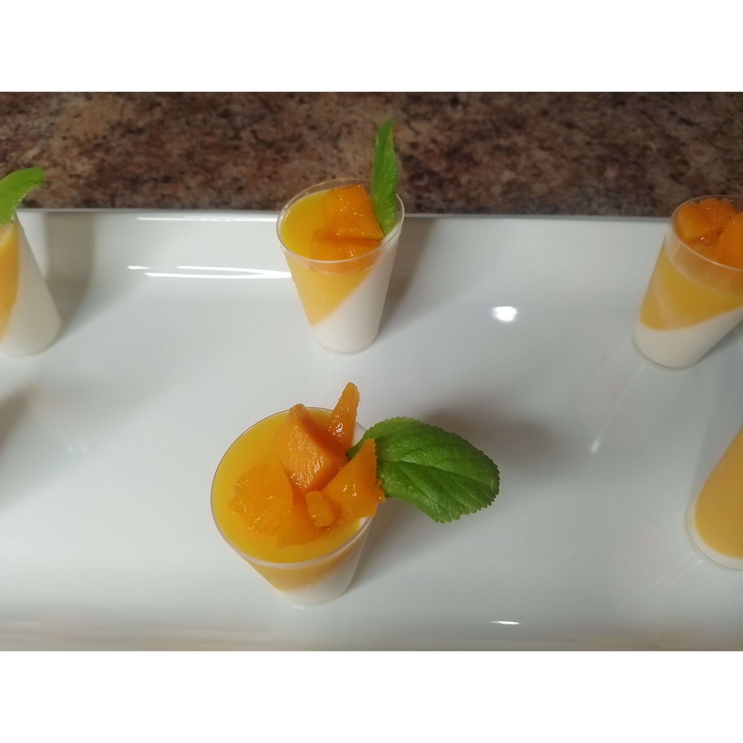 Panna Cotta 2oz. Dessert Cups