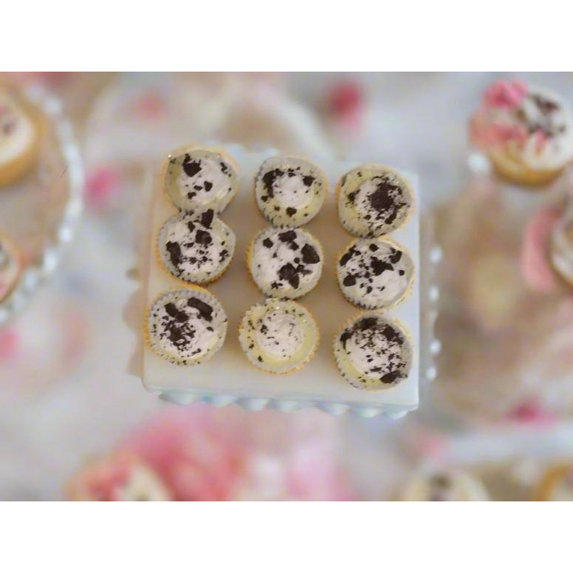 Mini Cheesecake Cupcakes Set of 24